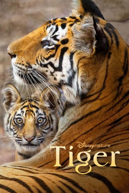 Tiger (2024) (ซับไทย)