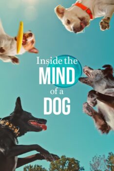 Inside the Mind of a Dog (2024) อ่านใจสุนัข (พากย์ไทย)