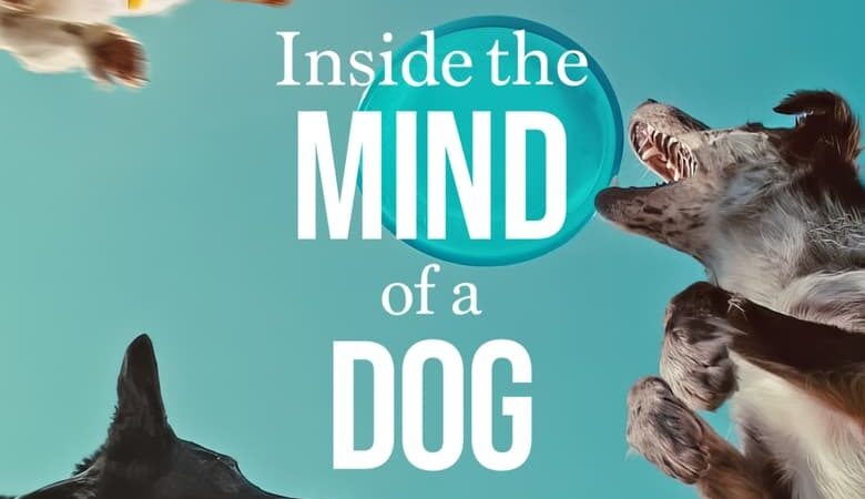 Inside the Mind of a Dog (2024) อ่านใจสุนัข (พากย์ไทย)