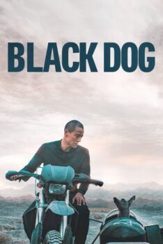 Black Dog (2024) สี่ขาหัวใจไม่ดำ